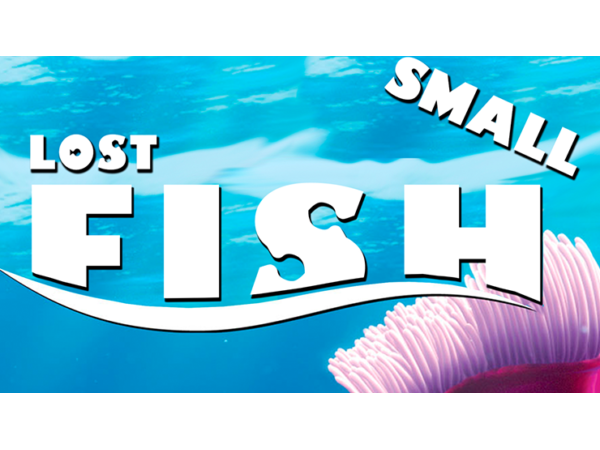 Lost Fish (Large) by Aprendemagia