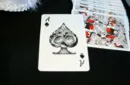 Masquerade LE Edition Playing Cards by Denyse Klette – Bild 4