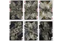 Bicycle Strigiformes Owl Playing Cards – Image 4