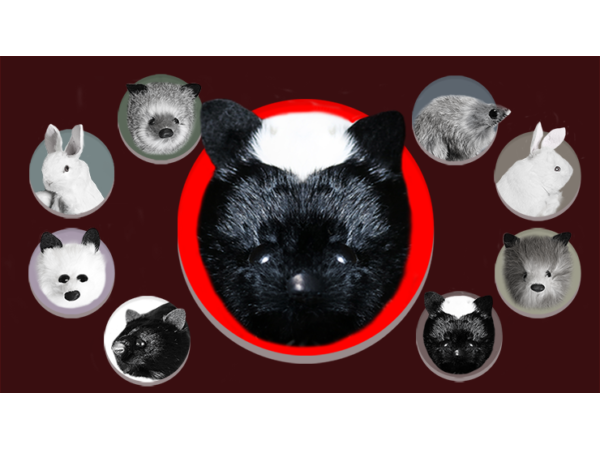 Skunk Spring Animal by Magic Masters