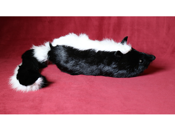 Skunk Spring Animal by Magic Masters