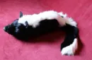 Skunk Spring Animal by Magic Masters – Image 4