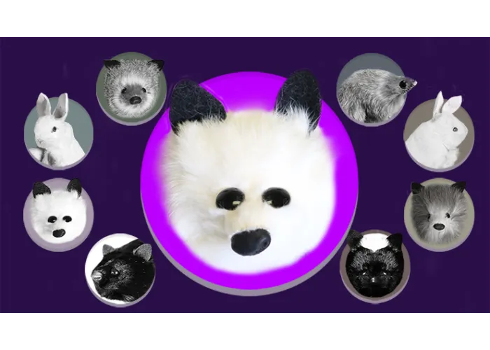 White Fox Spring Animal by Magic Masters