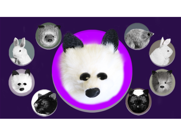 White Fox Spring Animal by Magic Masters