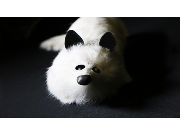 White Fox Spring Animal by Magic Masters