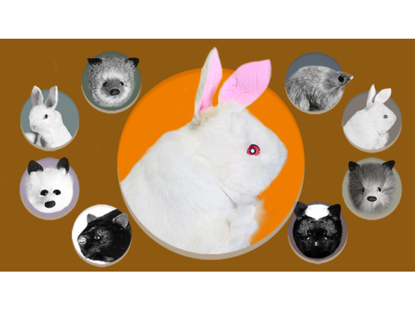 Rabbit Hand Puppet by Magic Masters