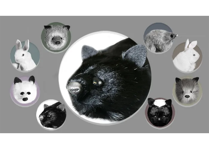 Black Fox Spring Animal by Magic Masters