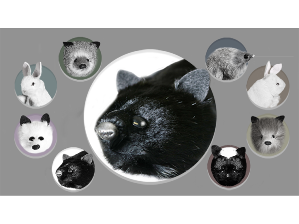 Black Fox Spring Animal by Magic Masters