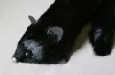 Black Fox Spring Animal by Magic Masters – Image 3