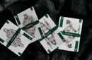 Guard Playing Cards by BOCOPO – Image 5