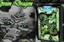 Green Dragon Playing Cards (Standard Edition) by Craig Maidment – Image 3