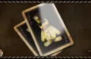 Voodoo Playing Cards – Image 4