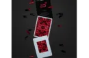 Limited Edition Untitled V2 Playing Cards by Adam Borderline – Bild 4