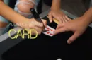 IVY ENVELOPE (Gimmicks and Online Instructions) by Danny Weiser, Bond Lee and Magiclism Store – Image 3