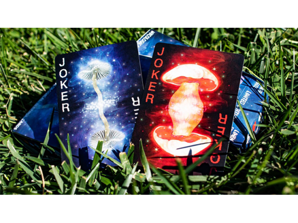 Limited Edition Fungi Mystic Mushrooms Mycological Playing Cards