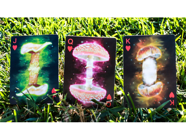 Limited Edition Fungi Mystic Mushrooms Mycological Playing Cards