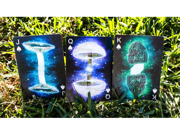 Limited Edition Fungi Mystic Mushrooms Mycological Playing Cards
