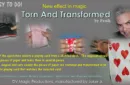 Torn and Transformed by Fenik – Image 1