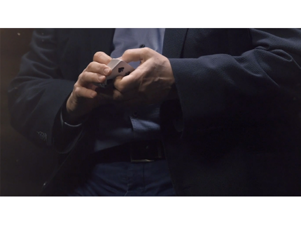Card Magic Masterclass (Palms) by Roberto Giobbi