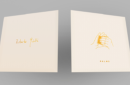 Card Magic Masterclass (Palms) by Roberto Giobbi – Image 1