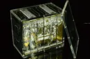 Carat X6 Half Brick Case (Holds 6 Decks) - Kartenbox – Image 6