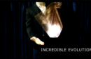 Httpswww magicshop chmediacatalogproductflflying3 png