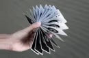 Echo Playing Cards by Lotusinhand – Image 6