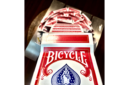 Httpswww magicshop chmediacatalogproductbibicycle rider back 5 png