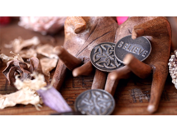 The Lucky Coin (Gimmicks and Online Instructions) by Luca Volpe and Paul McCaig