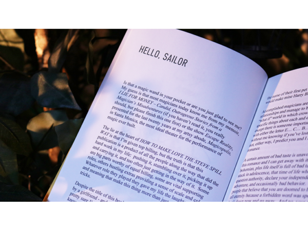 How To Make Love The Steve Spill Way by Steve Spill - Book