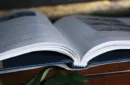 Solomon's Secrets by David Solomon - Book – Bild 2