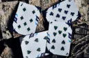 Lonely Wolf Playing Cards by Bocopo – Image 6