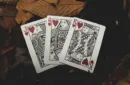 Oriental Playing Cards by Riffle Shuffle – Bild 4