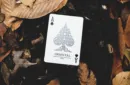 Oriental Playing Cards by Riffle Shuffle – Bild 5