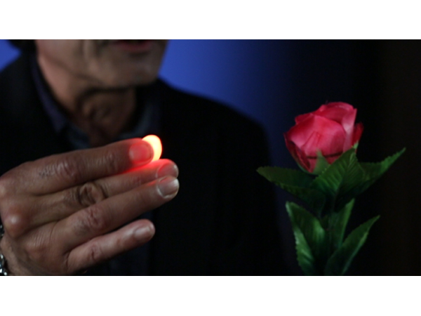 Rocco's Prisma Lites SOUND Single (High Voltage/Red)