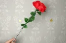 Wilting Rose by Strixmagic – Bild 1