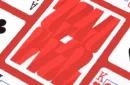 Entry Peppers Playing Cards by Art of Play – Image 4