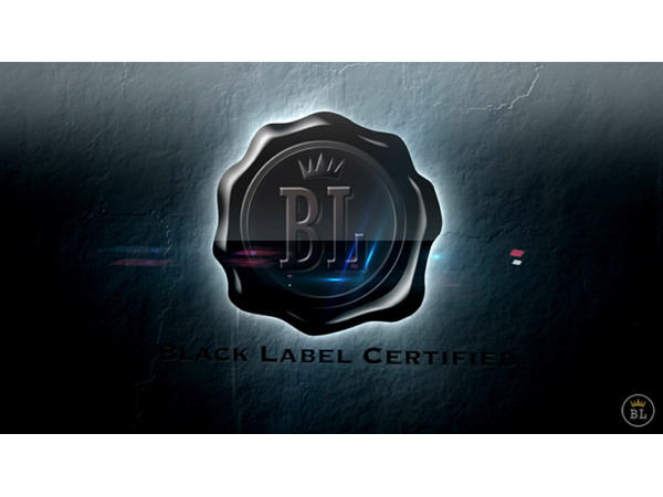 HYBRID (Gimmicks and Online Instructions) by Danny Weiser