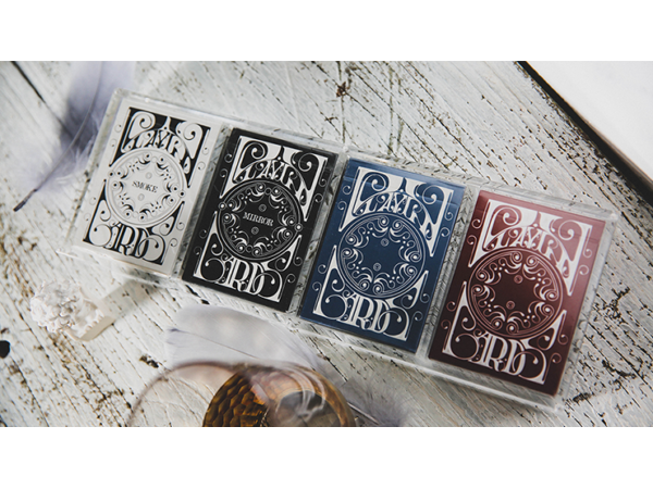 Crystal Playing Card Display 4 Deck Case by TCC