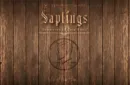 Skymember Presents Saplings by Yu Huihang - DVD – Image 1