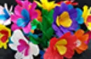 Rabbit Squared Production with Flowers by Tora Magic – Image 5