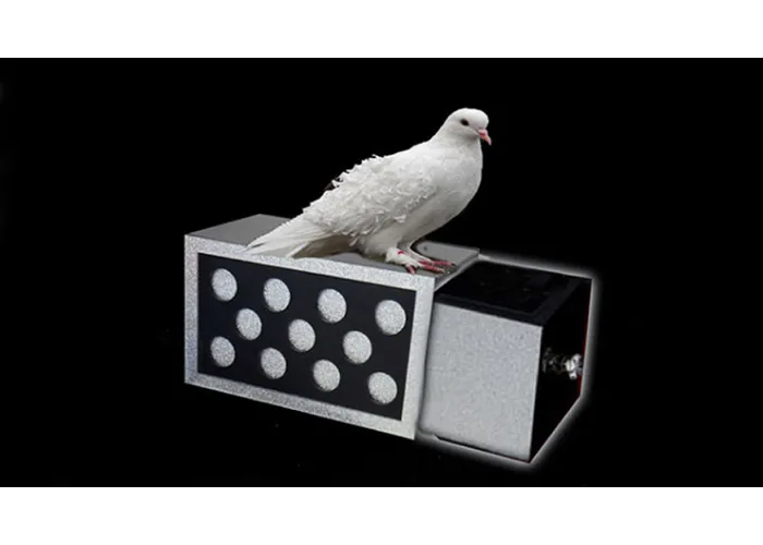 DRAWER BOX WITH HOLES (SILVER) by Tora Magic