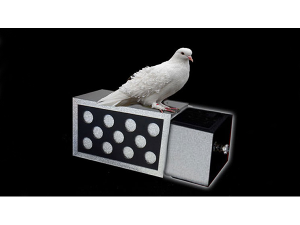 DRAWER BOX WITH HOLES (SILVER) by Tora Magic