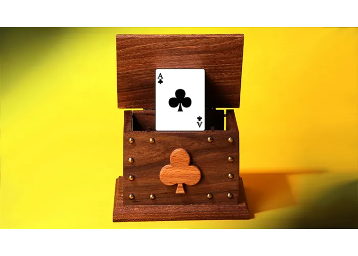 CARD IN THE AIR by Tora Magic