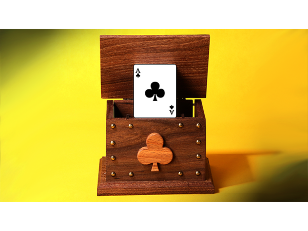 CARD IN THE AIR by Tora Magic