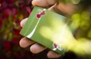 Cherry Casino Fremonts (Sahara Green) Playing Cards by Pure Imagination Projects – Image 1