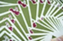 Cherry Casino Fremonts (Sahara Green) Playing Cards by Pure Imagination Projects – Image 7