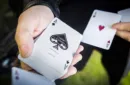 Cherry Casino Fremonts (Sahara Green) Playing Cards by Pure Imagination Projects – Image 10