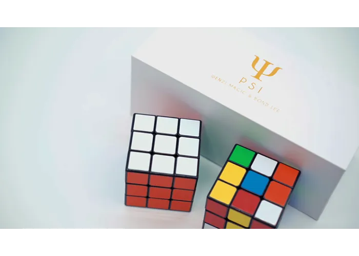 PSI by Wenzi Magic & Bond Lee - Trick