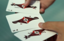 Httpswww magicshop chmediacatalogproductsisimple cardsody aeth 8 png